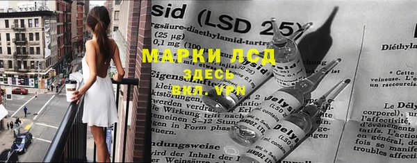 прущие грибы Покачи